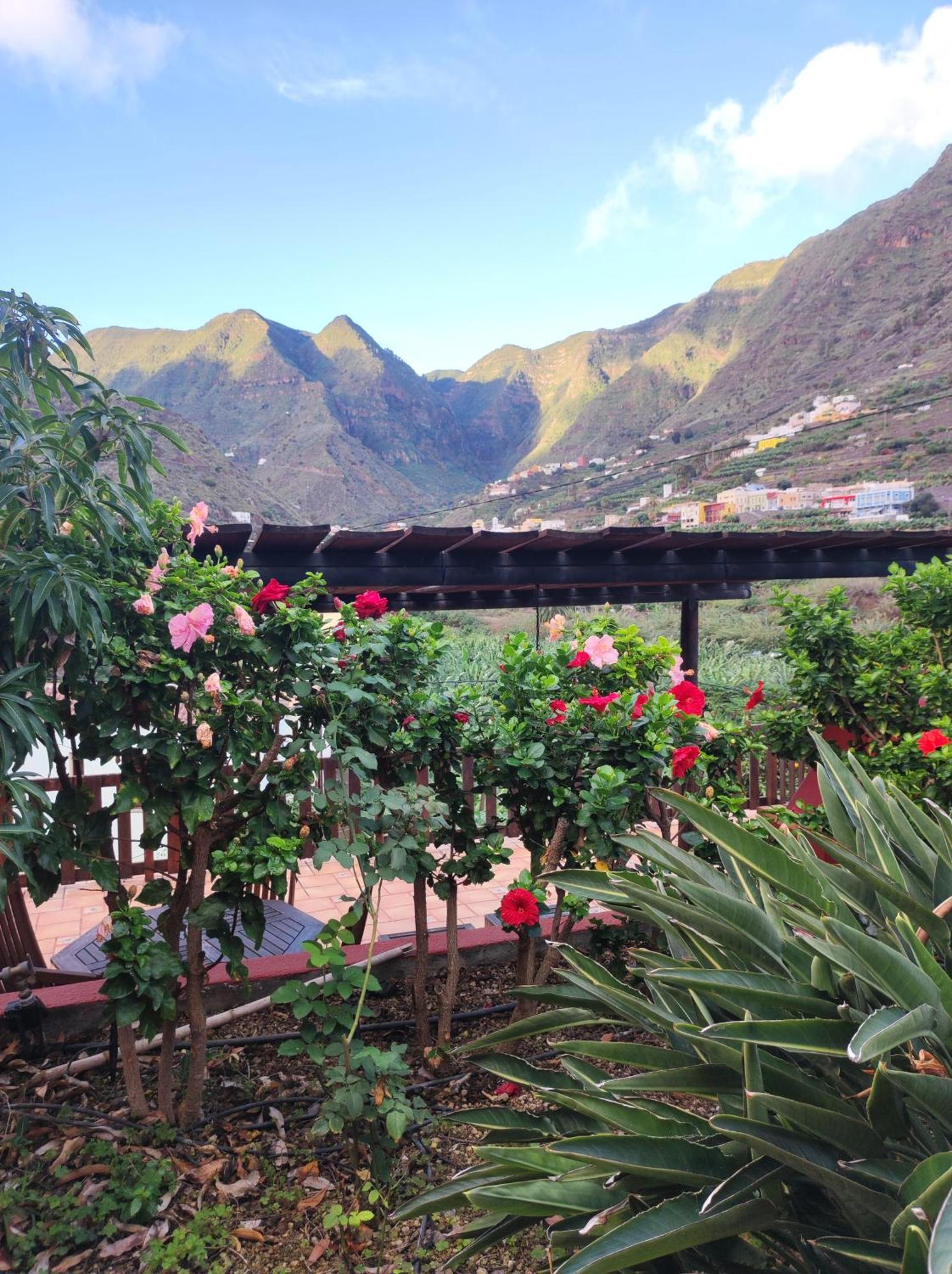 Casa Rural La Pitanga Hermigua Eksteriør billede